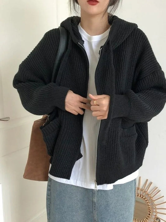 Chunky Knit Hooded Sweater