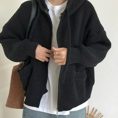 Chunky Knit Hooded Sweater