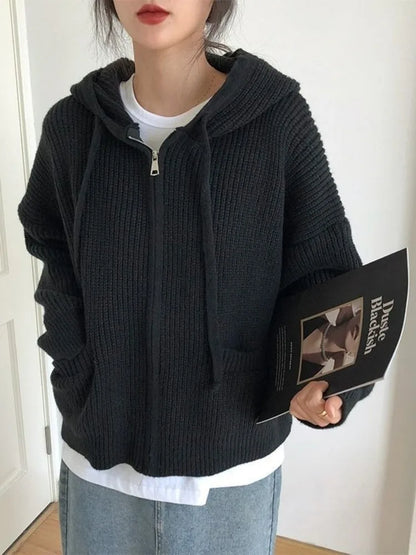 Chunky Knit Hooded Sweater
