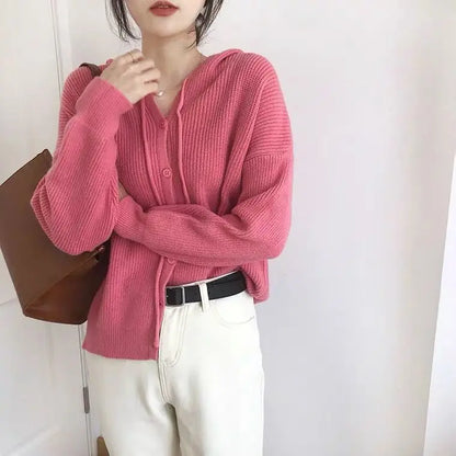 Soft Girl Knitted Hooded Sweater