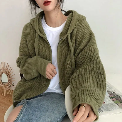 Chunky Knit Hooded Sweater