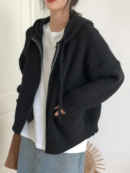 Chunky Knit Hooded Sweater