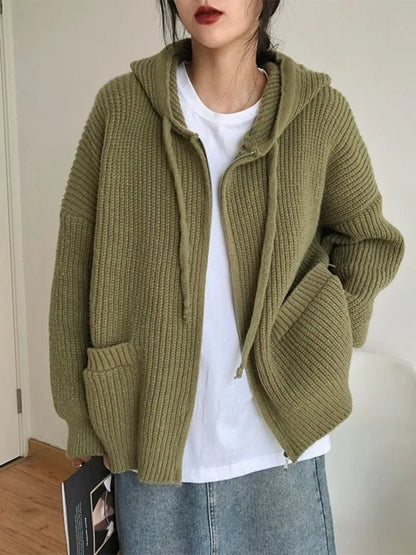 Chunky Knit Hooded Sweater